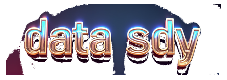 data sdy logo